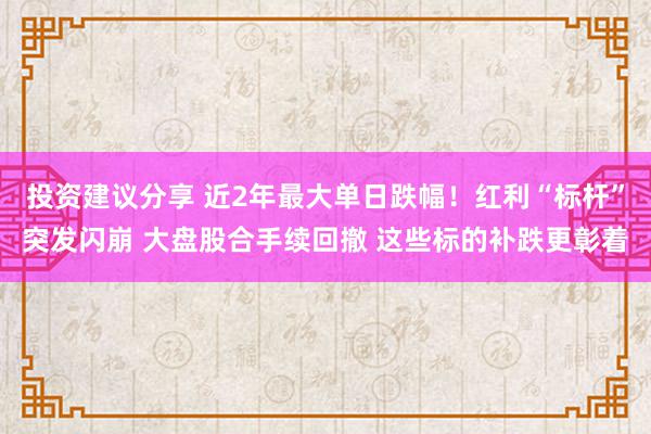 投资建议分享 近2年最大单日跌幅！红利“标杆”突发闪崩 大盘股合手续回撤 这些标的补跌更彰着