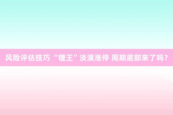 风险评估技巧 “锂王”淡漠涨停 周期底部来了吗？