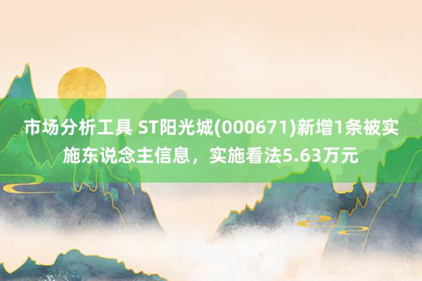 市场分析工具 ST阳光城(000671)新增1条被实施东说念主信息，实施看法5.63万元