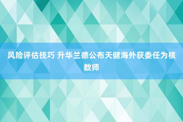 风险评估技巧 升华兰德公布天健海外获委任为核数师