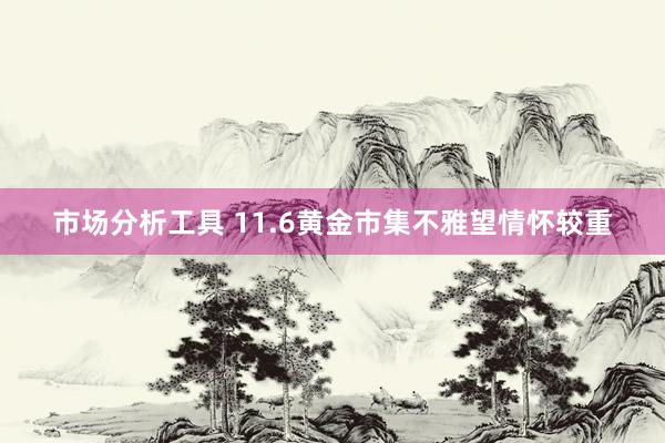 市场分析工具 11.6黄金市集不雅望情怀较重