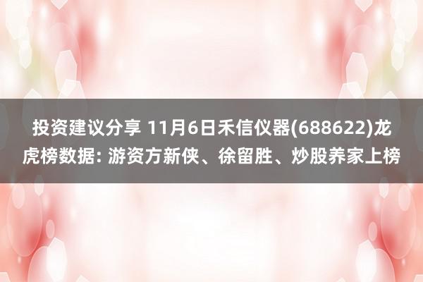 投资建议分享 11月6日禾信仪器(688622)龙虎榜数据: 游资方新侠、徐留胜、炒股养家上榜