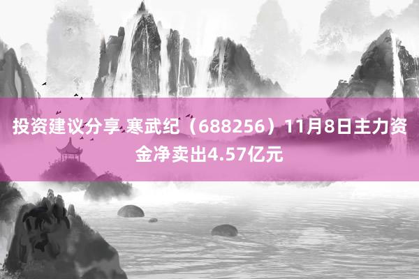 投资建议分享 寒武纪（688256）11月8日主力资金净卖出4.57亿元