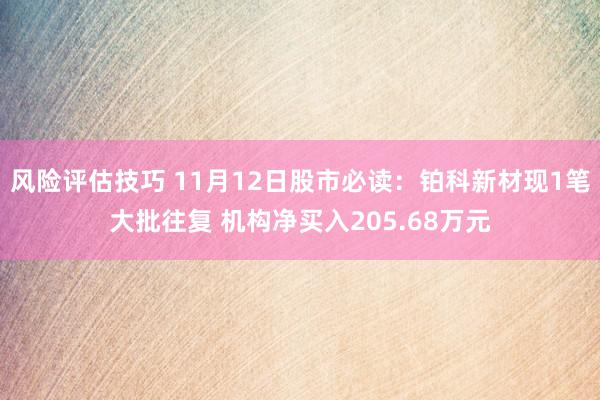 风险评估技巧 11月12日股市必读：铂科新材现1笔大批往复 机构净买入205.68万元