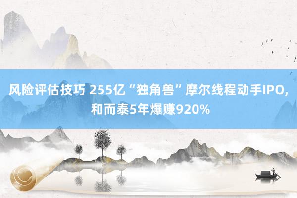 风险评估技巧 255亿“独角兽”摩尔线程动手IPO, 和而泰5年爆赚920%