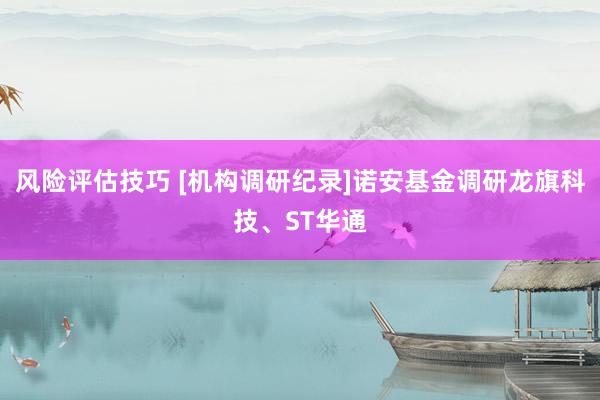 风险评估技巧 [机构调研纪录]诺安基金调研龙旗科技、ST华通