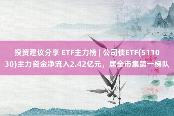 投资建议分享 ETF主力榜 | 公司债ETF(511030)主力资金净流入2.42亿元，居全市集第一梯队