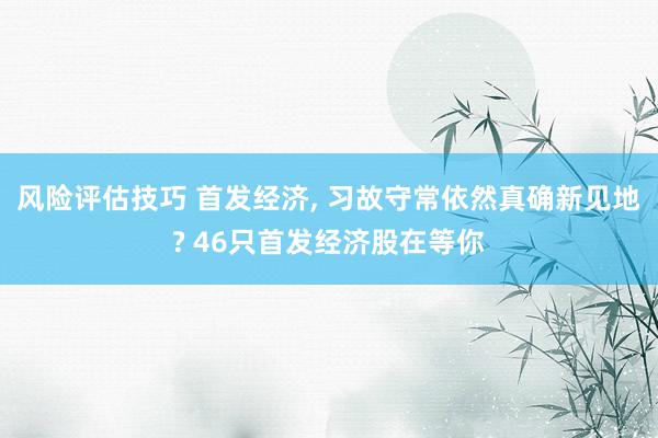 风险评估技巧 首发经济, 习故守常依然真确新见地? 46只首发经济股在等你