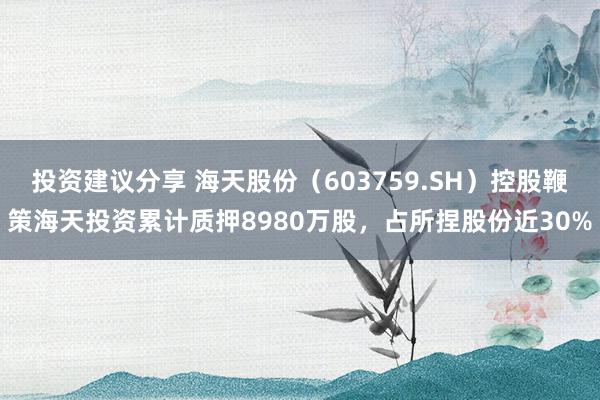 投资建议分享 海天股份（603759.SH）控股鞭策海天投资累计质押8980万股，占所捏股份近30%