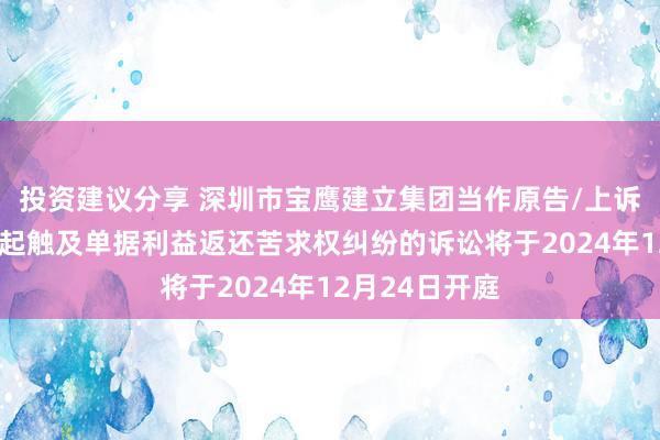 投资建议分享 深圳市宝鹰建立集团当作原告/上诉东说念主的1起触及单据利益返还苦求权纠纷的诉讼将于2024年12月24日开庭