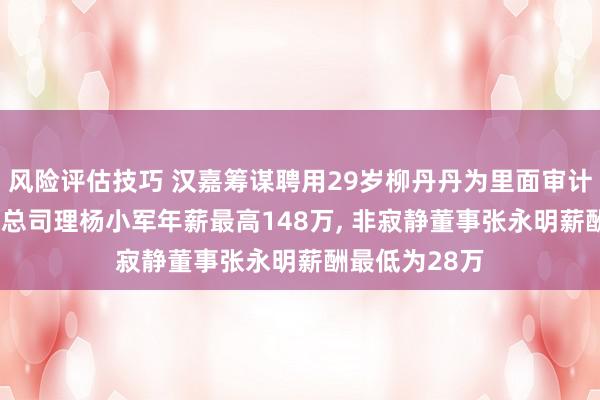 风险评估技巧 汉嘉筹谋聘用29岁柳丹丹为里面审计细腻东谈主, 总司理杨小军年薪最高148万, 非寂静董事张永明薪酬最低为28万