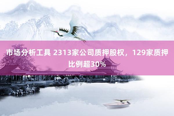 市场分析工具 2313家公司质押股权，129家质押比例超30%