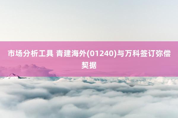 市场分析工具 青建海外(01240)与万科签订弥偿契据