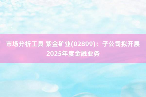 市场分析工具 紫金矿业(02899)：子公司拟开展2025年度金融业务