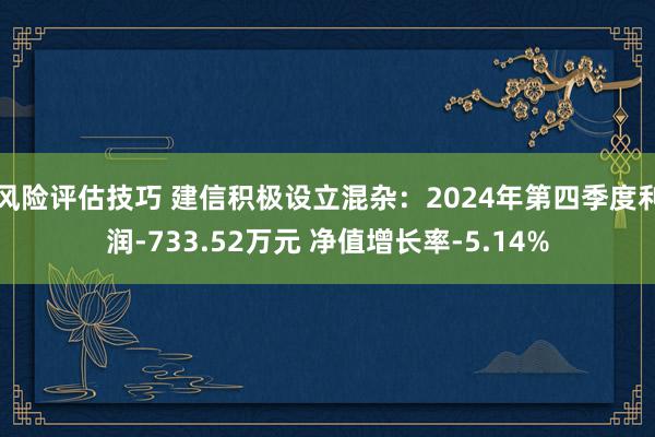 风险评估技巧 建信积极设立混杂：2024年第四季度利润-733.52万元 净值增长率-5.14%