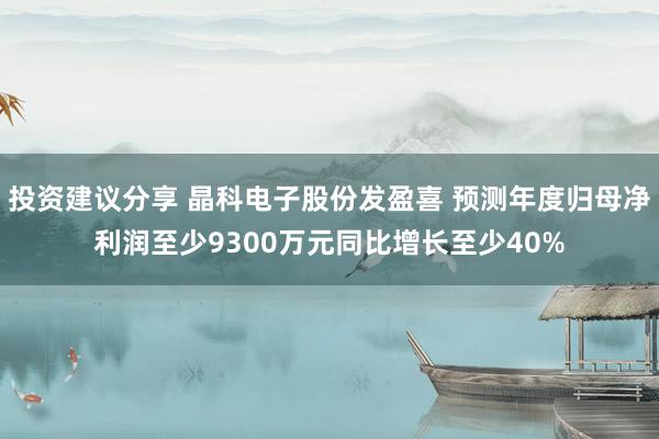 投资建议分享 晶科电子股份发盈喜 预测年度归母净利润至少9300万元同比增长至少40%