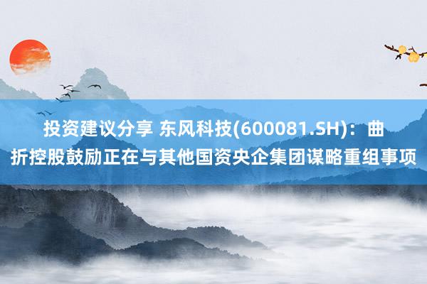 投资建议分享 东风科技(600081.SH)：曲折控股鼓励正在与其他国资央企集团谋略重组事项