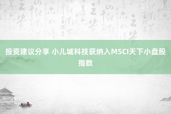 投资建议分享 小儿城科技获纳入MSCI天下小盘股指数