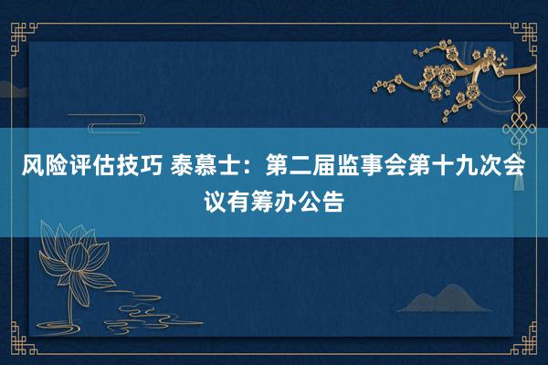 风险评估技巧 泰慕士：第二届监事会第十九次会议有筹办公告