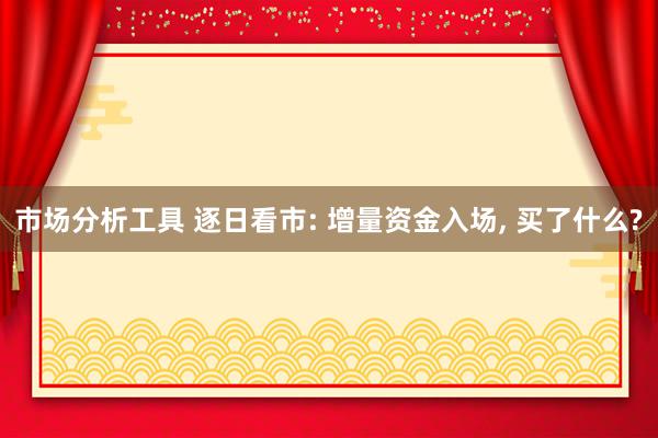 市场分析工具 逐日看市: 增量资金入场, 买了什么?