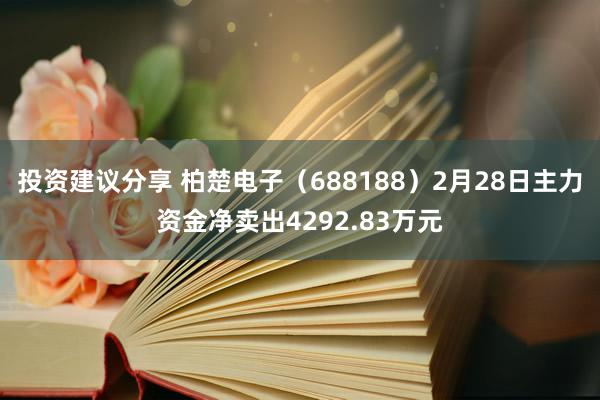 投资建议分享 柏楚电子（688188）2月28日主力资金净卖出4292.83万元