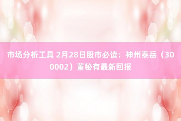 市场分析工具 2月28日股市必读：神州泰岳（300002）董秘有最新回报