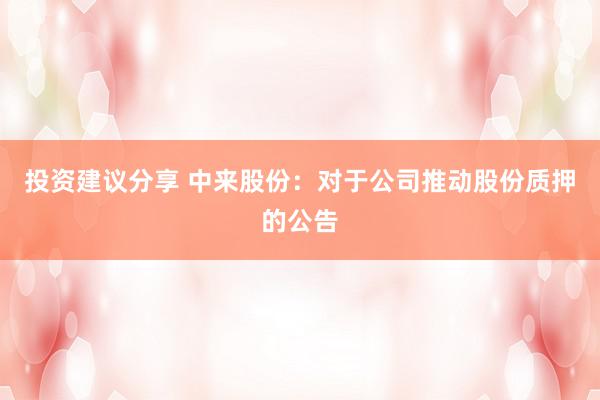 投资建议分享 中来股份：对于公司推动股份质押的公告