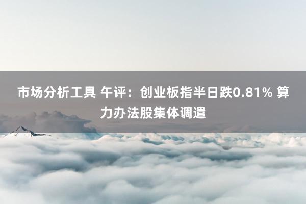 市场分析工具 午评：创业板指半日跌0.81% 算力办法股集体调遣