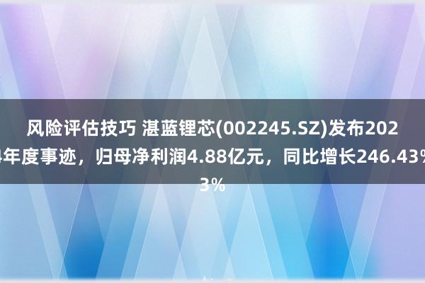 风险评估技巧 湛蓝锂芯(002245.SZ)发布2024年度事迹，归母净利润4.88亿元，同比增长246.43%