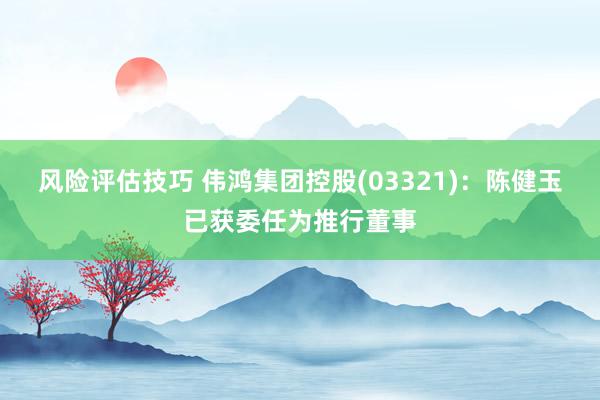 风险评估技巧 伟鸿集团控股(03321)：陈健玉已获委任为推行董事